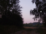 IMGP4549.JPG