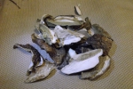 DSCF1307.JPG
