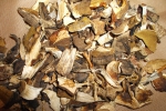 DSCF1302.JPG